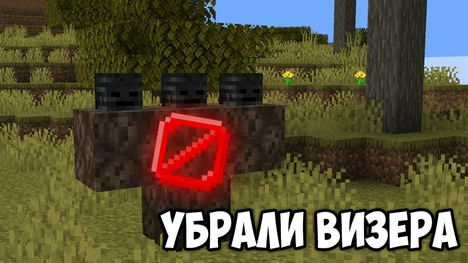Screenshot: Withers can't be spawned in any world