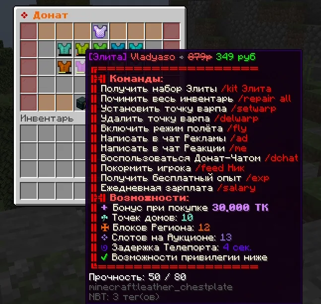 Screenshot: /delwarp is available from Elite