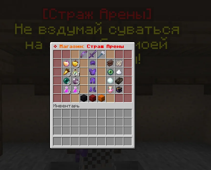 Screenshot: A new shop: Arena Guardian