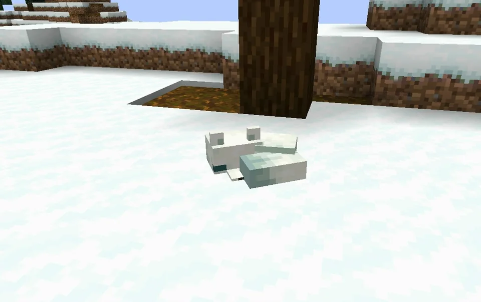 Screenshot: Some banned mobs can spawn in the RTP world and the Nether (for example foxes, horses, hoglins, striders)