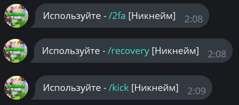 The bot’s hints for /2fa, /recovery and /kick